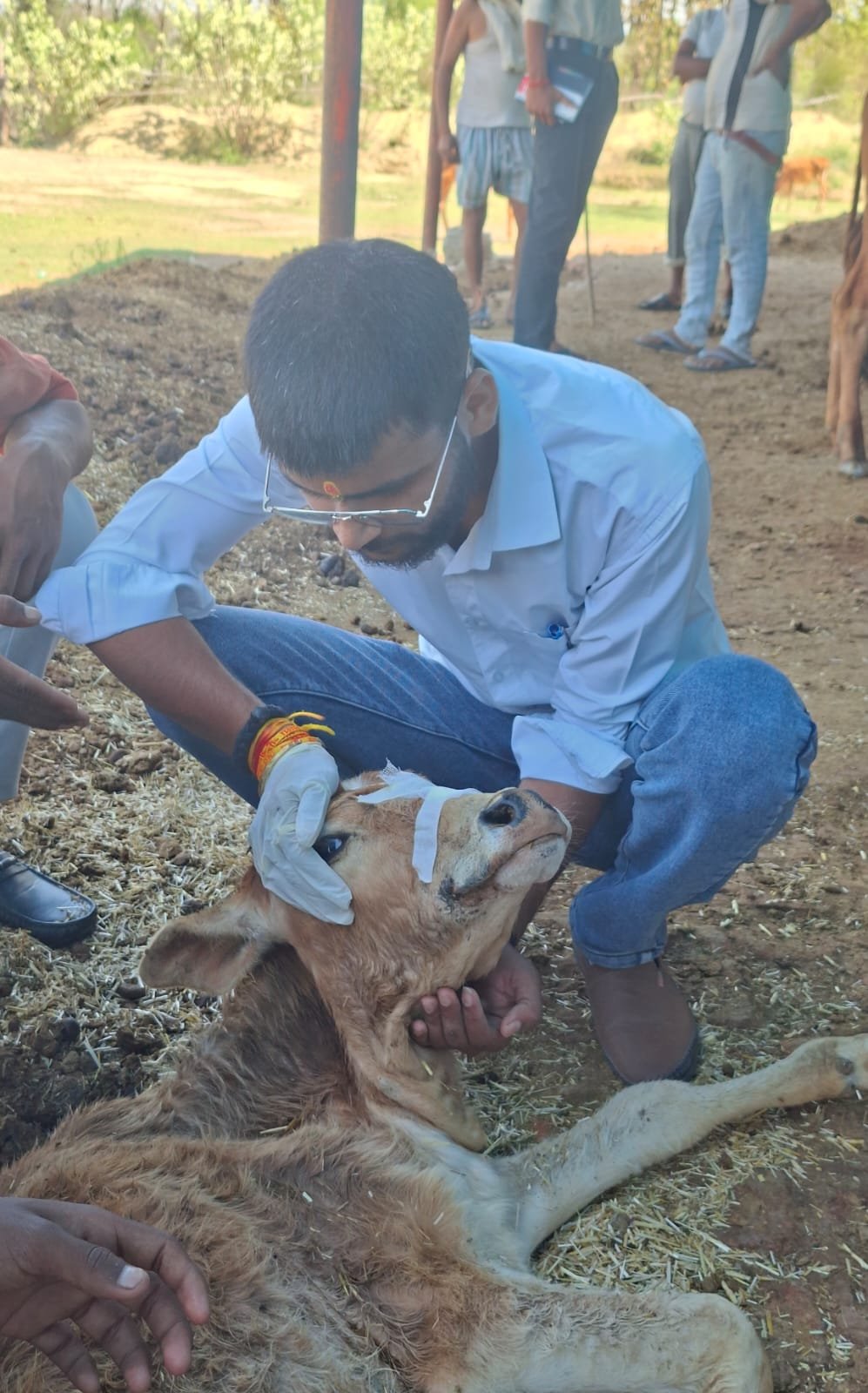 Medical Care